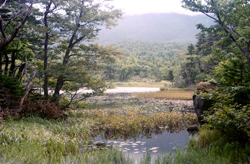 北海道32知床五湖