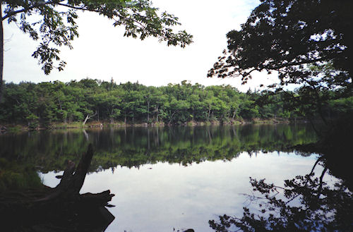 北海道35知床五湖