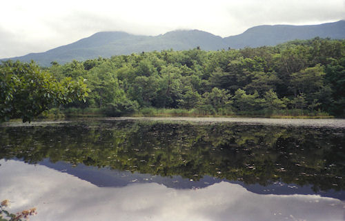 北海道36知床五湖