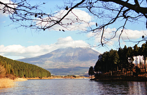 富士山/田貫湖
