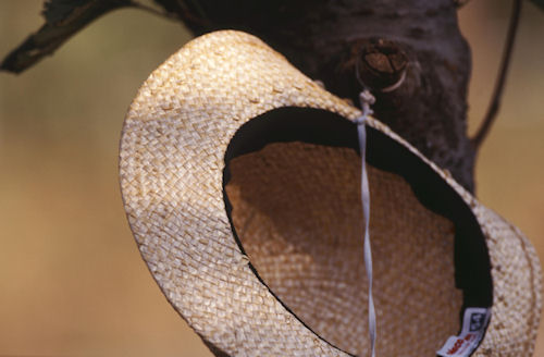 四季の森公園02