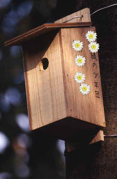 四季の森公園05