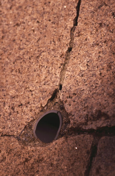 四季の森公園06