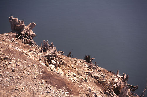 津久井湖〈渇水〉20