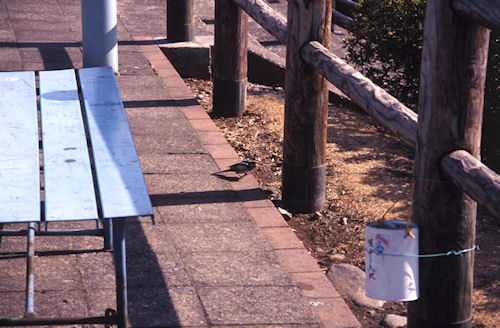 津久井湖〈渇水〉21