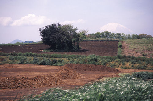 秦野02富士山