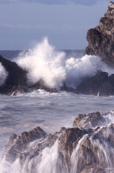 渥美半島伊良子岬04