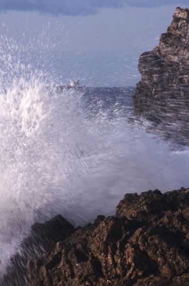 渥美半島伊良子岬08