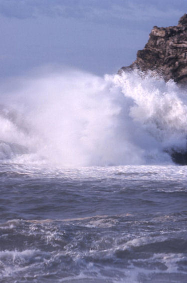 渥美半島伊良子岬09