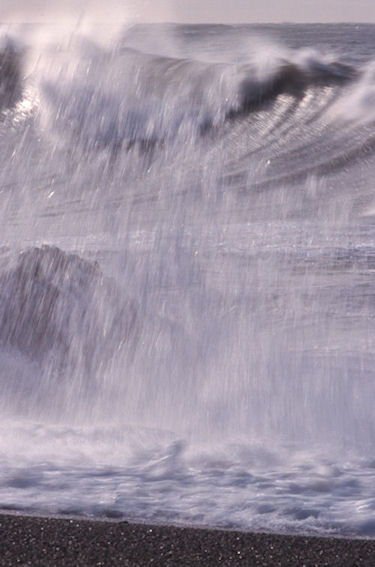 渥美半島伊良子岬12