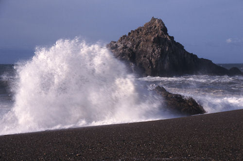 渥美半島伊良子岬22