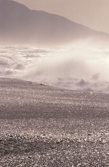 渥美半島伊良子岬24