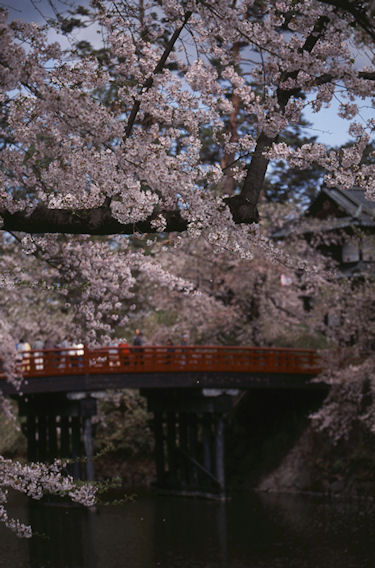 東北09弘前公園