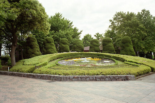 大船フラワーセンター01