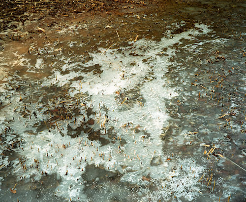 四季の森公園02