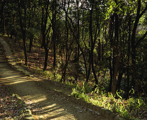 四季の森公園05