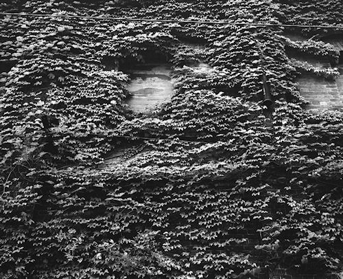 赤レンガ倉庫群08