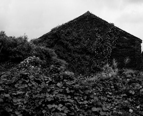 赤レンガ倉庫群11