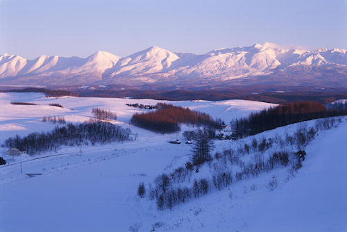 美瑛町/美馬牛02
