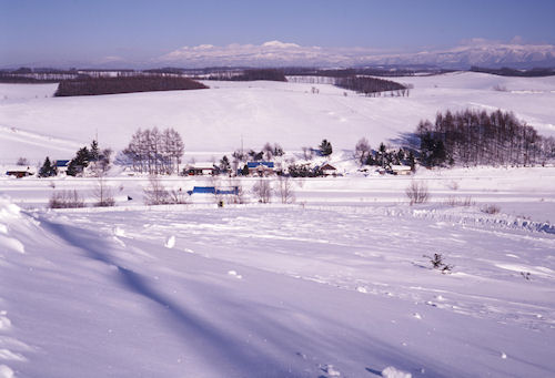 美瑛町/美馬牛05