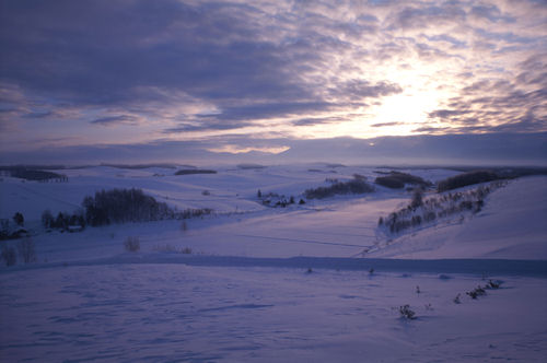 美瑛町/美馬牛08