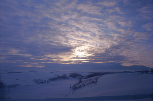 美瑛町/美馬牛09