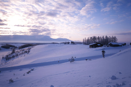 美瑛町/美馬牛10