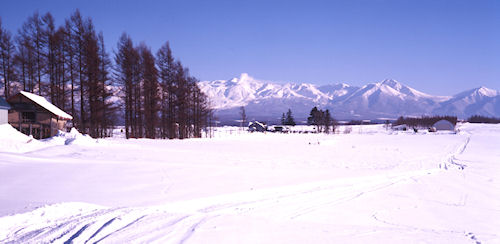 美瑛町/美馬牛14