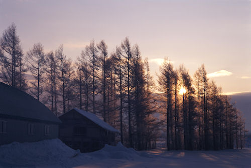 美瑛町/美馬牛15