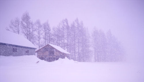 美瑛町/美馬牛16