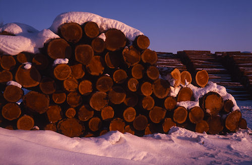 美瑛町/美馬牛22