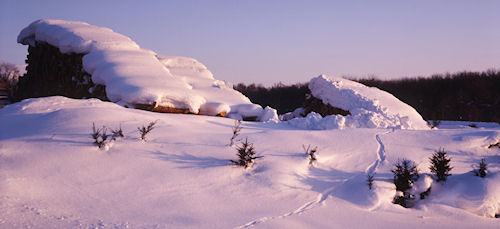 美瑛町/美馬牛24