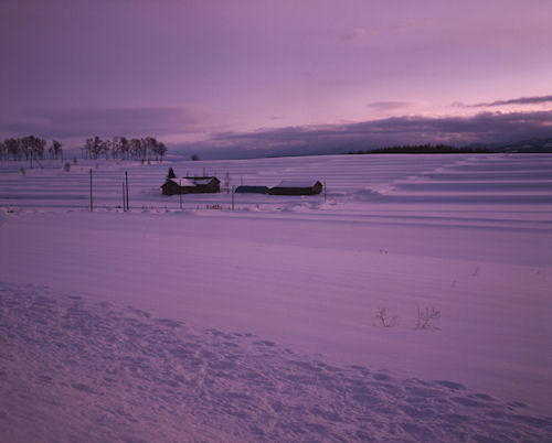美瑛町/美馬牛28