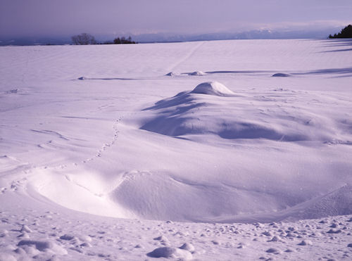 美瑛町/美馬牛33