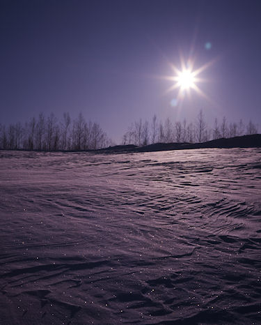 美瑛町/美馬牛39
