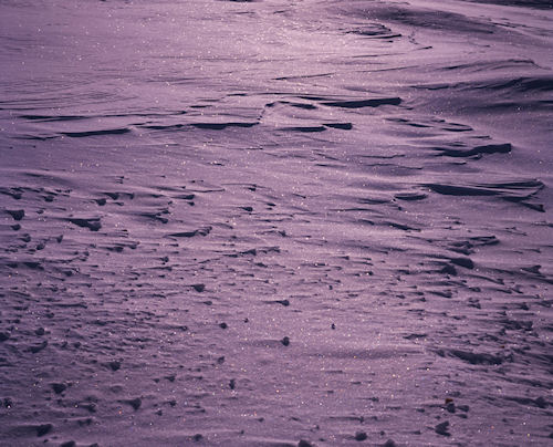 美瑛町/美馬牛40