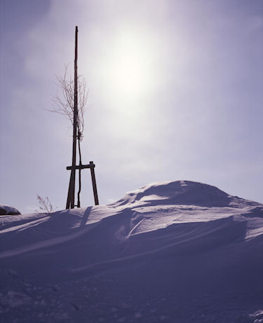 美瑛町/美馬牛52