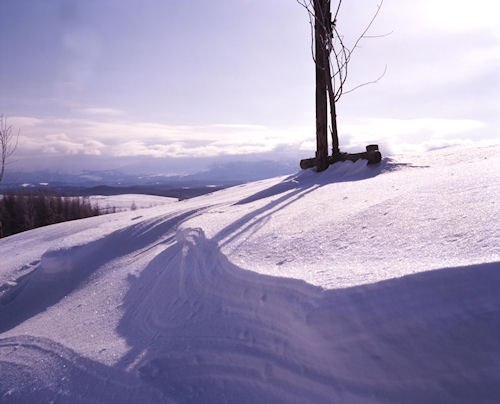 美瑛町/美馬牛54