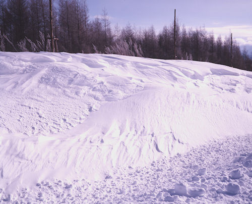 美瑛町/美馬牛55