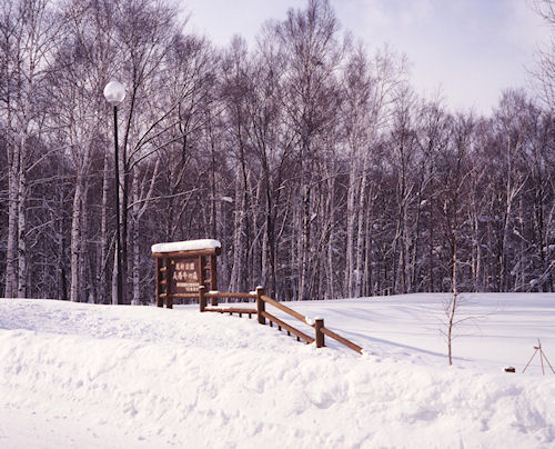 美馬牛周辺13美馬牛の森