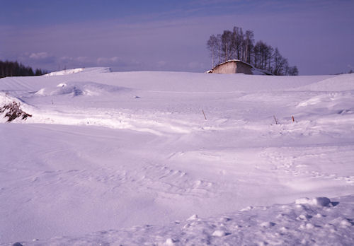 上富良野方面02