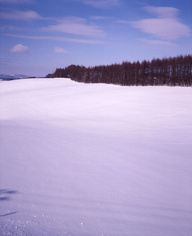 上富良野方面03