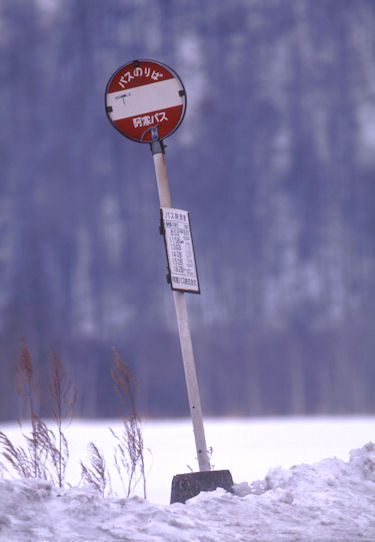 釧路41バスのりば