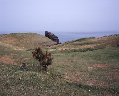 壱岐67牧崎公園/ゴリラ岩