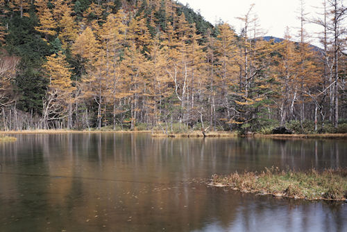 上高地23明神池
