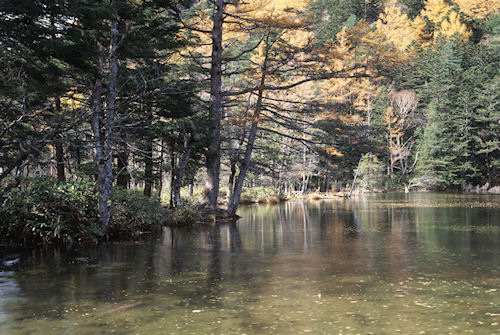 上高地24明神池