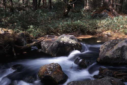 上高地26明神池下