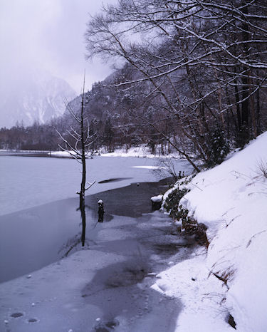 上高地<冬>35大正池