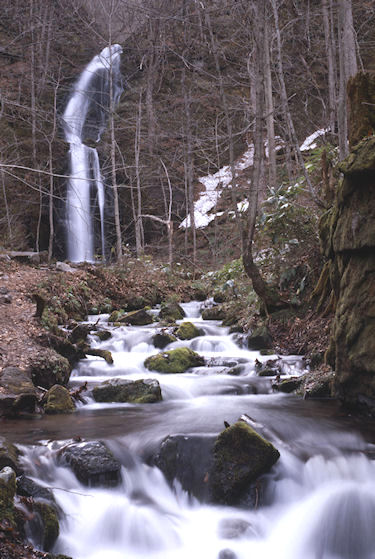 青森県02奥入瀬渓流