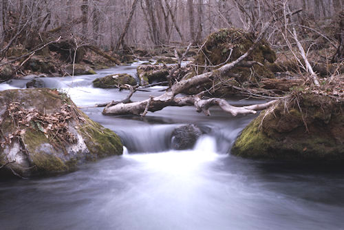 青森県03奥入瀬渓流